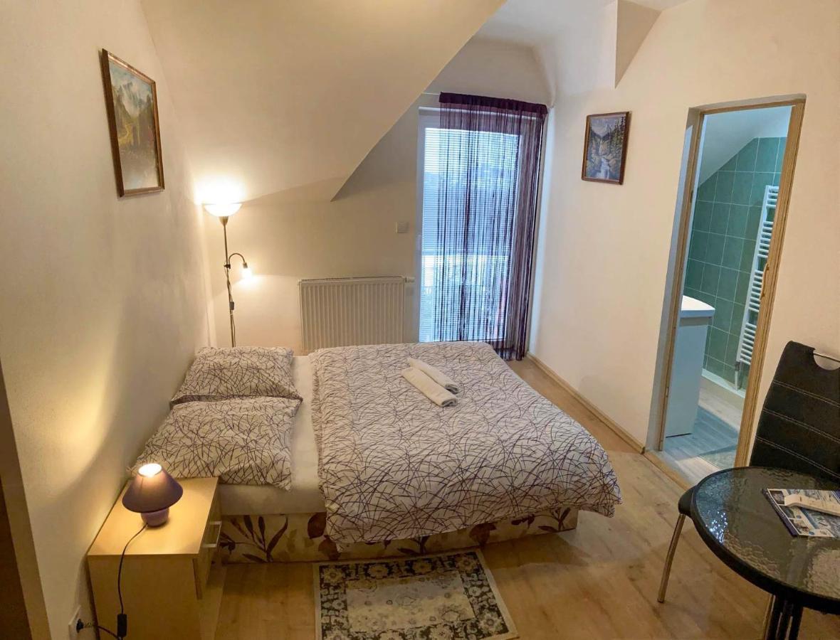 Vila Lesana Nová Lesná Exteriör bild